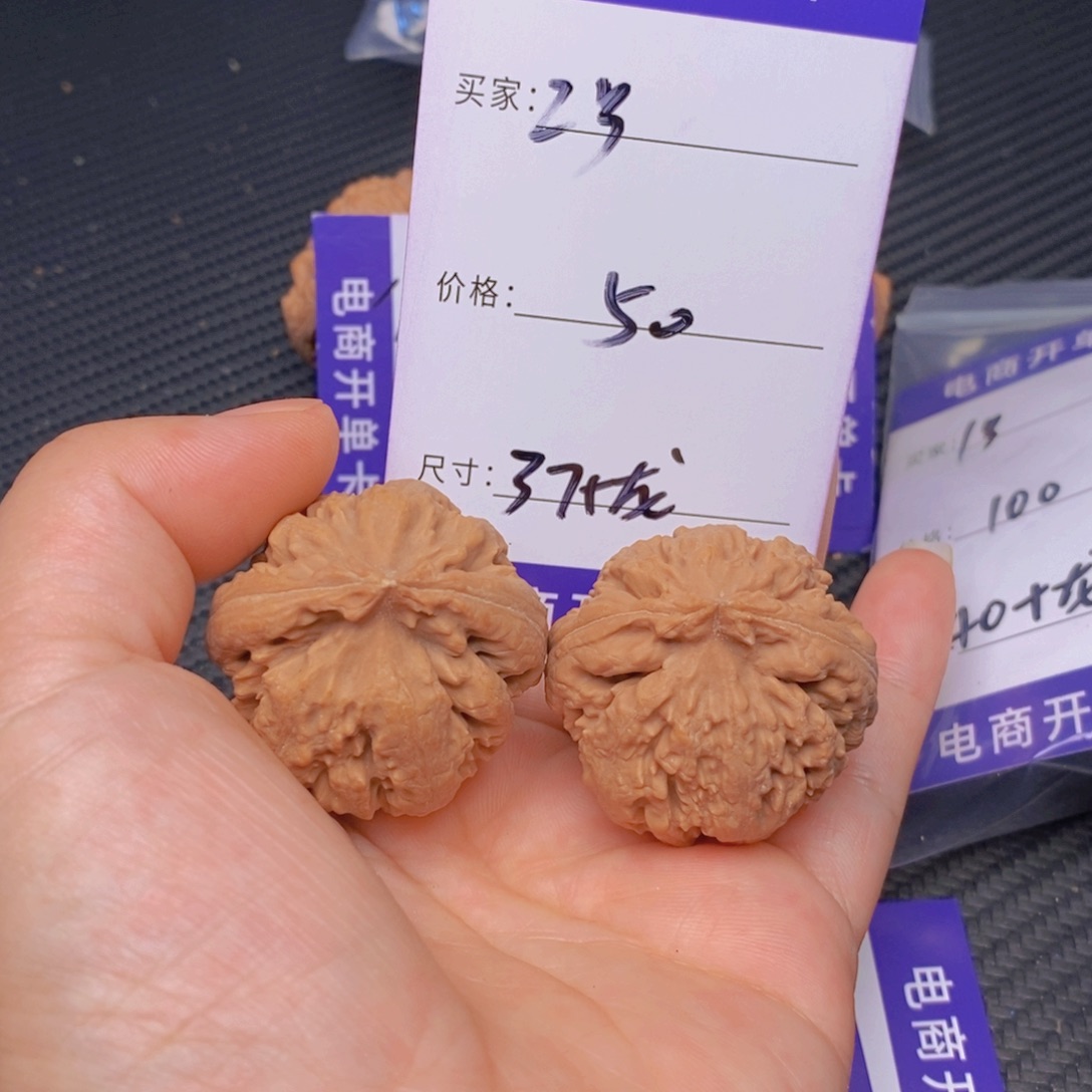 文玩核桃霸王龙核桃