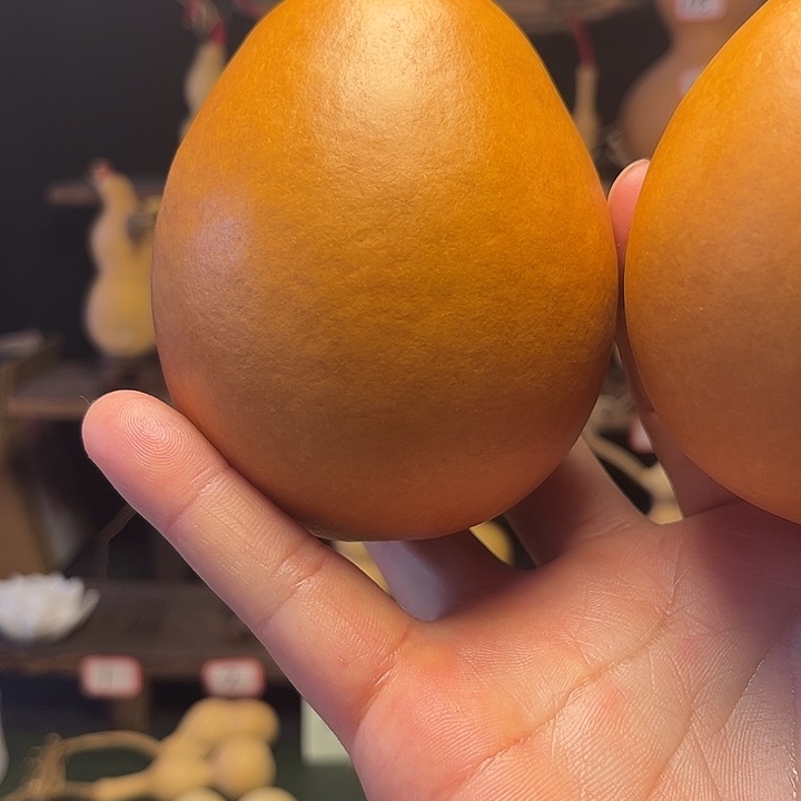 兔***离啦啦啦啦啦啦啦啦啦啦