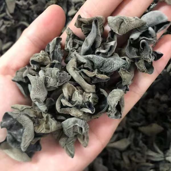 【到手3包】】东北黑木耳无根干货适合炒菜凉拌涮火锅30克/包y