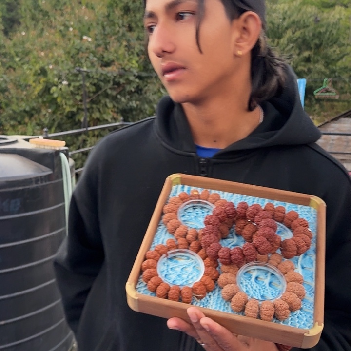 手串金刚菩提纽扣国宝熊猫菠萝蜜25毫米我银标