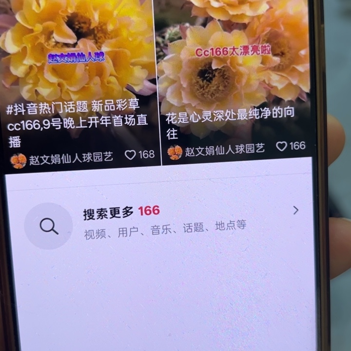 仙人球彩草歪cc166