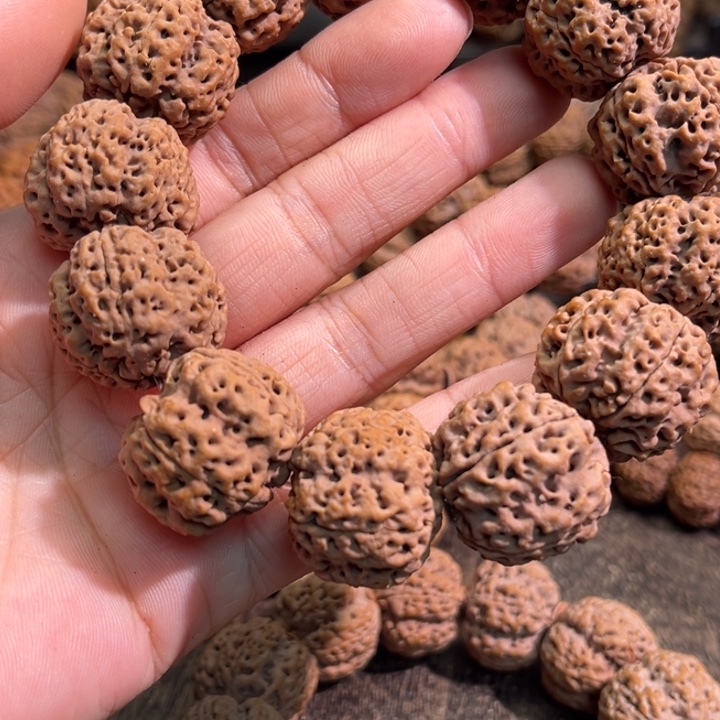 峰***…金刚菩提手串蜂窝