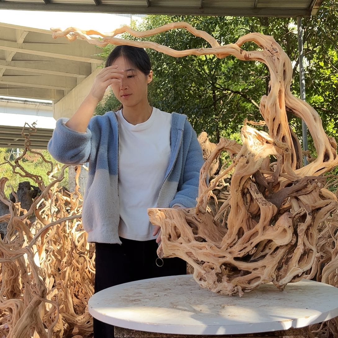 往***事木我是一只小小鸟地域鬼