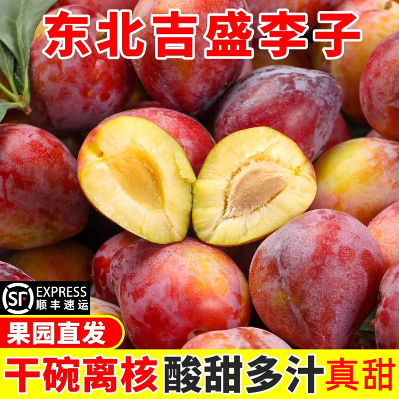 【爆甜】新鲜吉盛干核牛心李子吉林干碗桃李子东北特产水果一份包邮