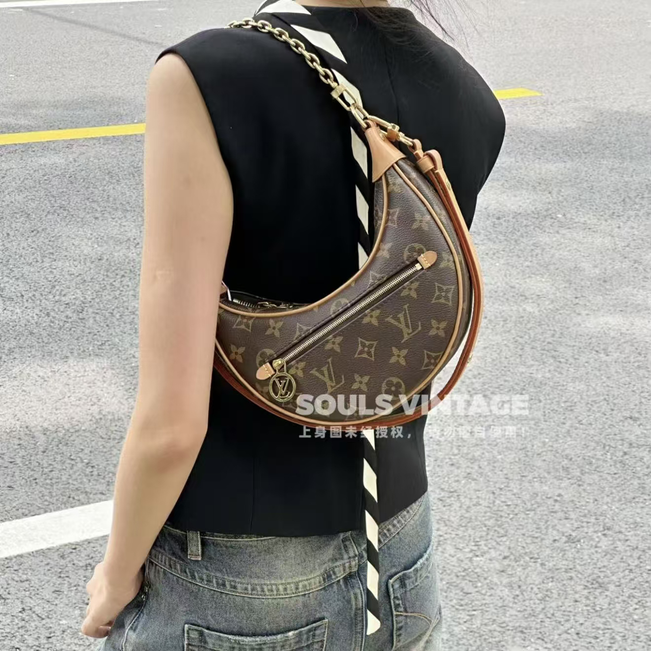 95新 LouisVuitton/路易威登 老花loop 豌豆包 单肩包/660686847