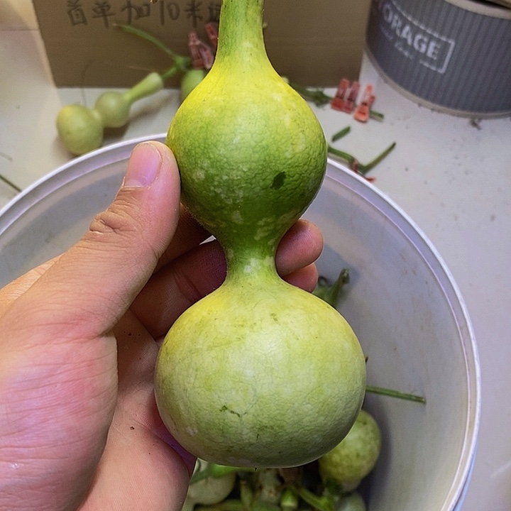 迷**活长嘴哈哈哈哈哈哈哈哈哈哈哈哈