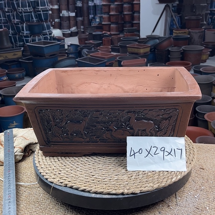 紫砂花钱紫砂花盆紫