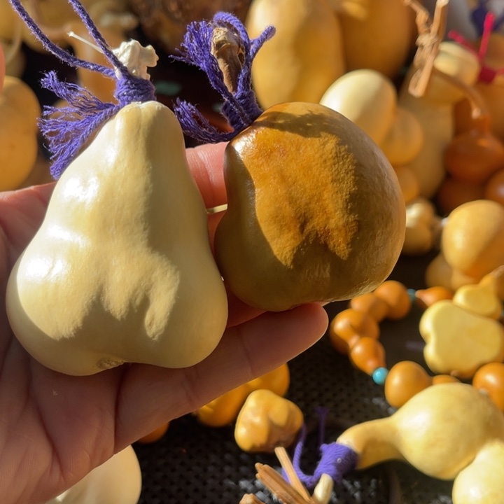 刘***琼葫芦哈哈哈哈哈哈哈哈