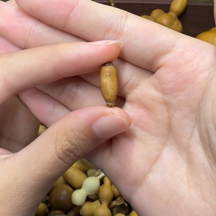 葫芦葫芦葫芦不包邮