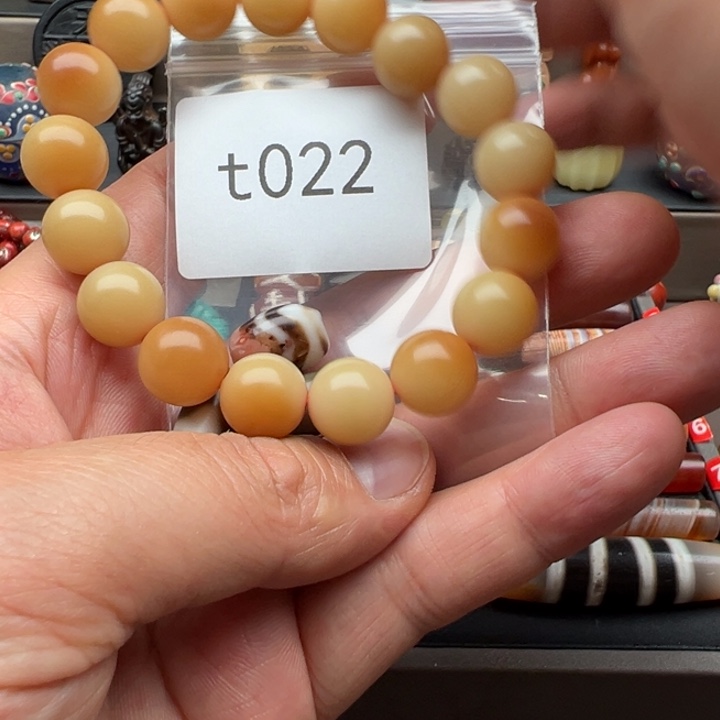 光***理菩提根/象牙果手串