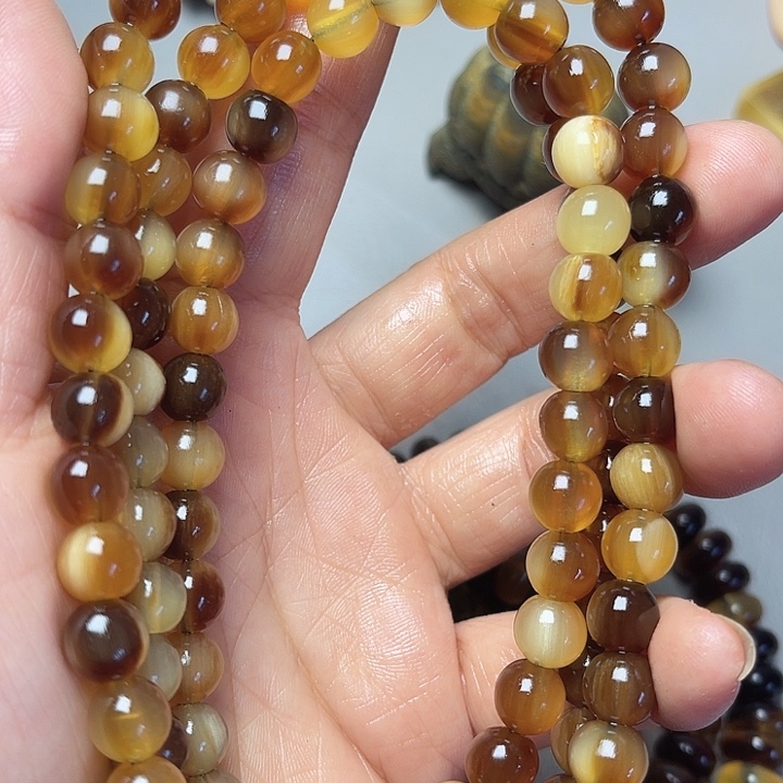 大果紫檀（缅甸花梨）