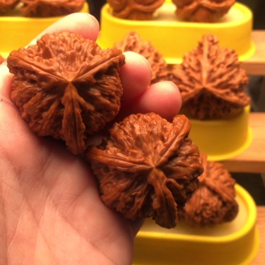 二***兄核桃核桃核桃核桃核桃