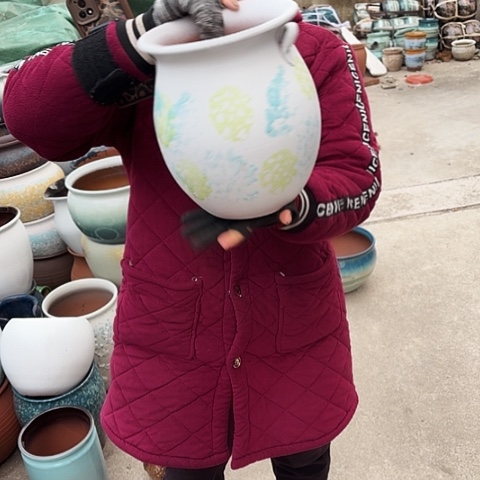 口19高24瑕疵盆子 