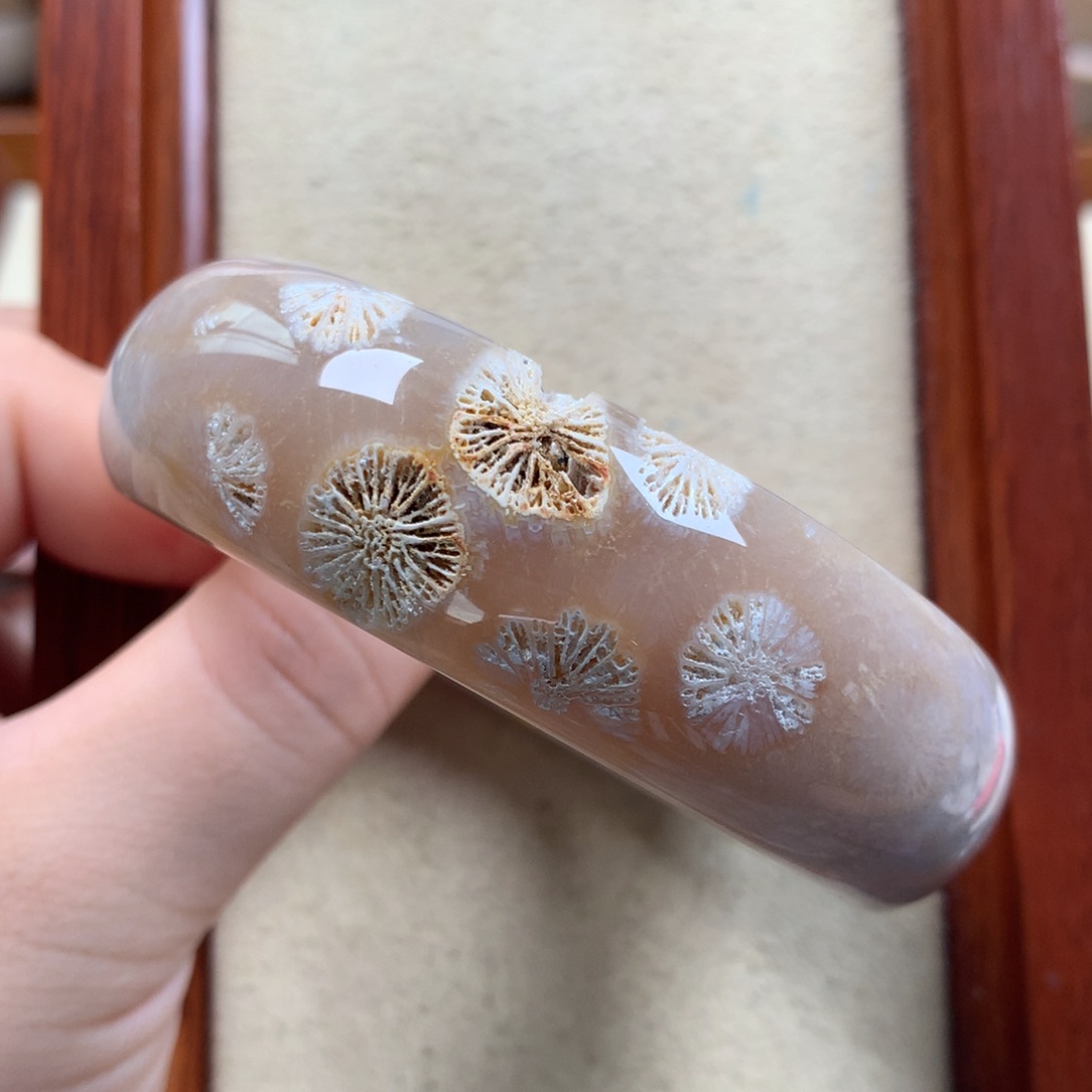 未镶嵌标本大花57.6圈漏1250/个。08硅化珊瑚（珊瑚玉