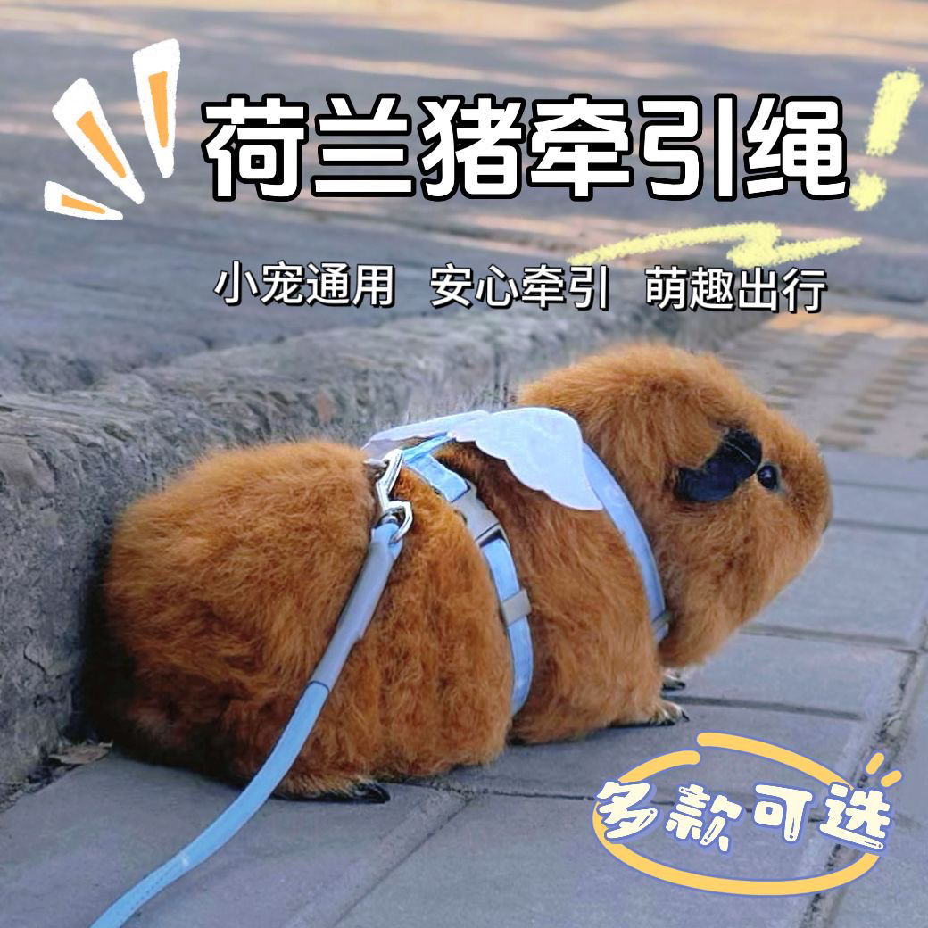 小宠专用荷兰猪豚鼠兔子猫咪防挣脱牵引绳胸背带外出用品