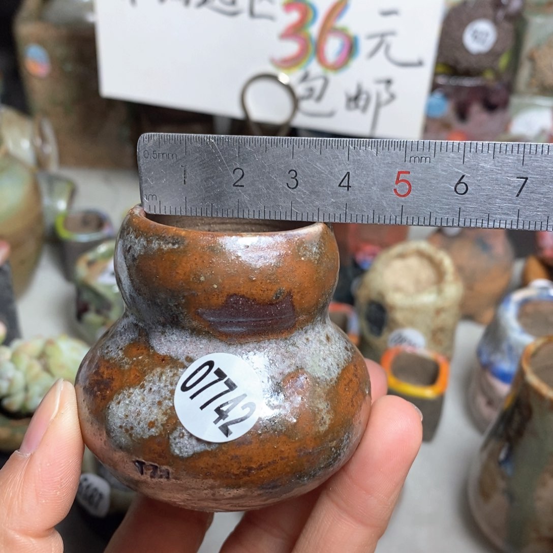 花盆拍5送一个小礼物