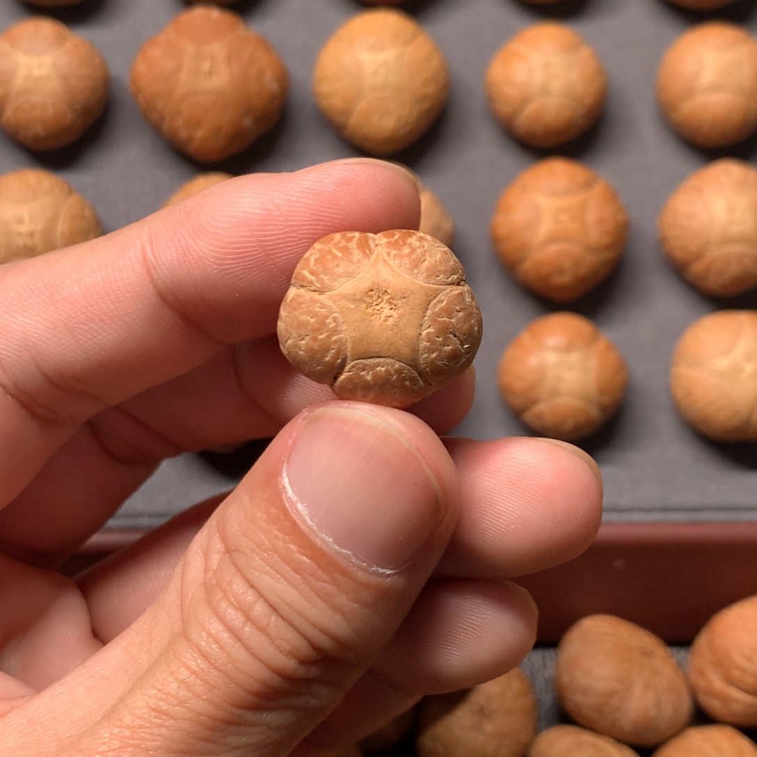 从***钙吊坠凤眼菩提19mm尼泊尔五星，打孔后不退换