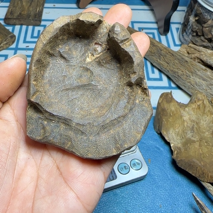 宝***旦木质母树虎斑紫奇包头21克