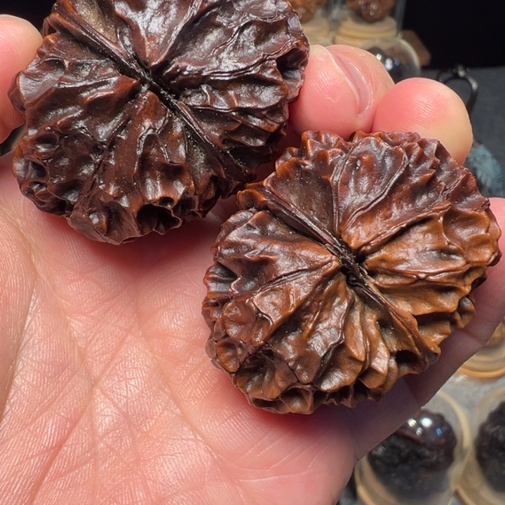 文玩核桃把件凤凰牡丹47mm