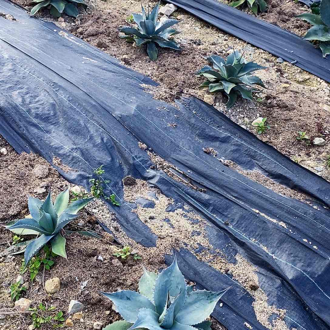 小**?000000000000000000