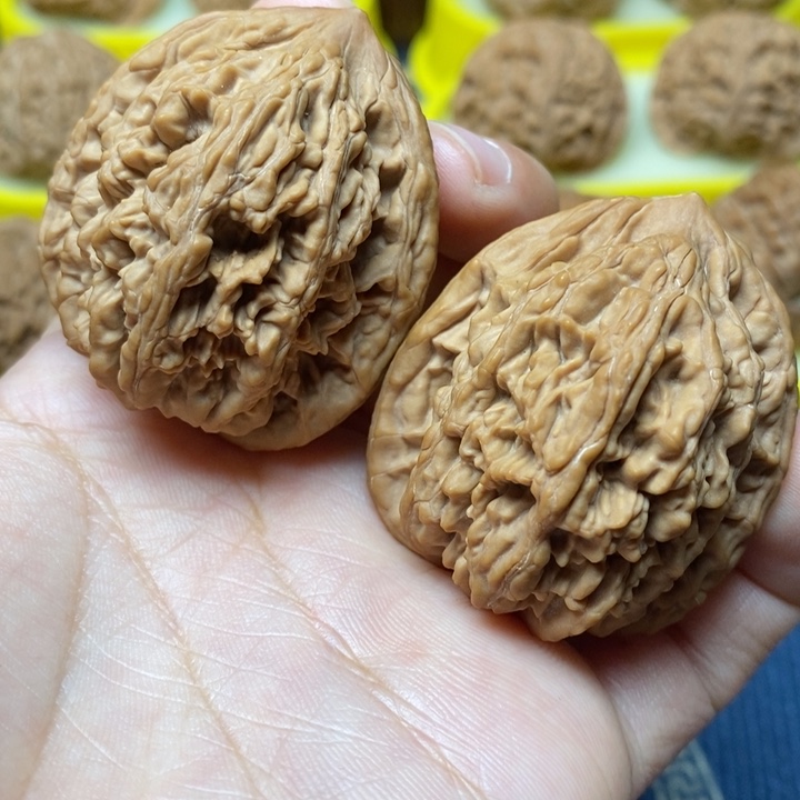 文呀核桃原桩虎头40