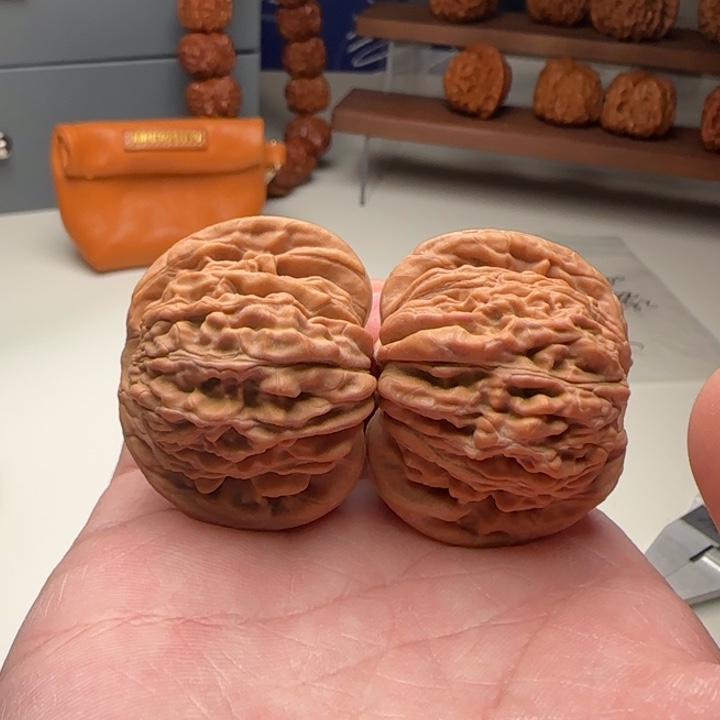 L41-38-33一代楼A27号