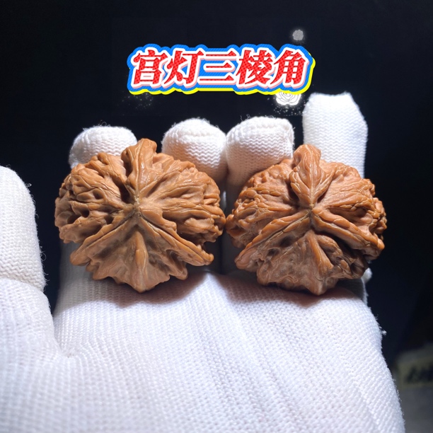 宫灯三棱角 全品天然异形 独特魅力无穷 骨质桩形皮色太美啦 