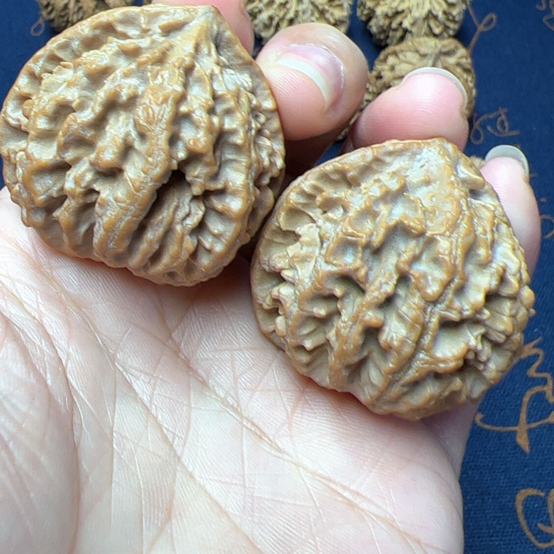 文玩核桃把件秦岭野生植物核桃