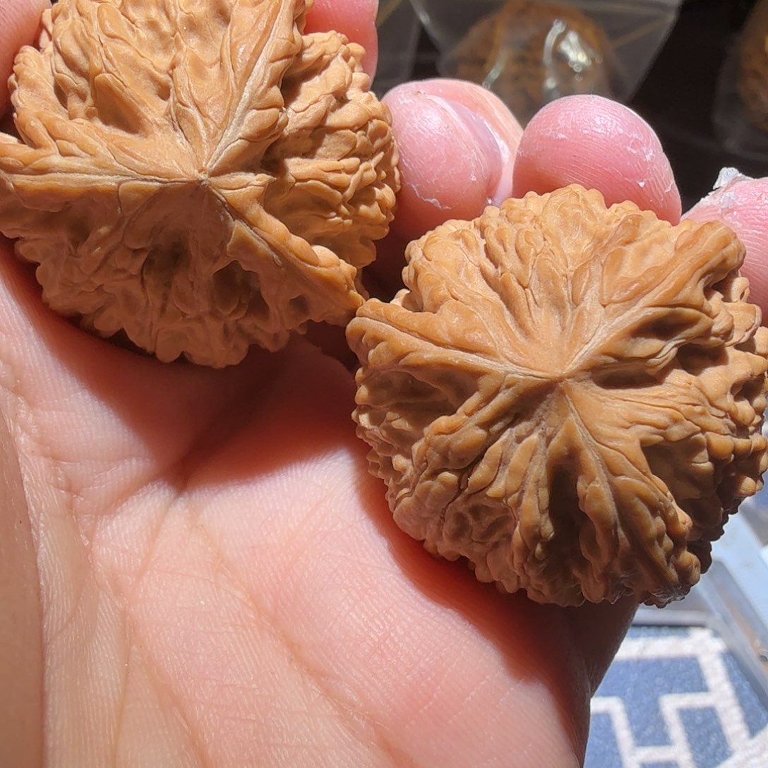 文玩核桃吊坠御龙