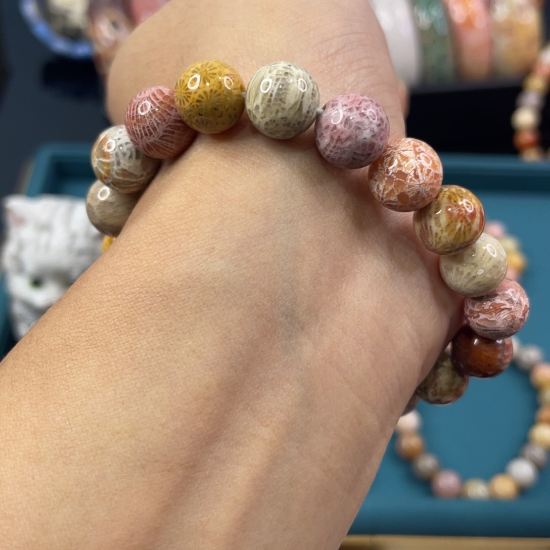 未镶嵌手镯硅化玉