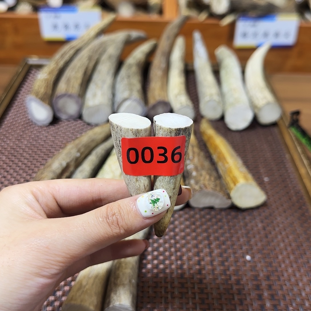 手串/手链鹿骨角尖0036