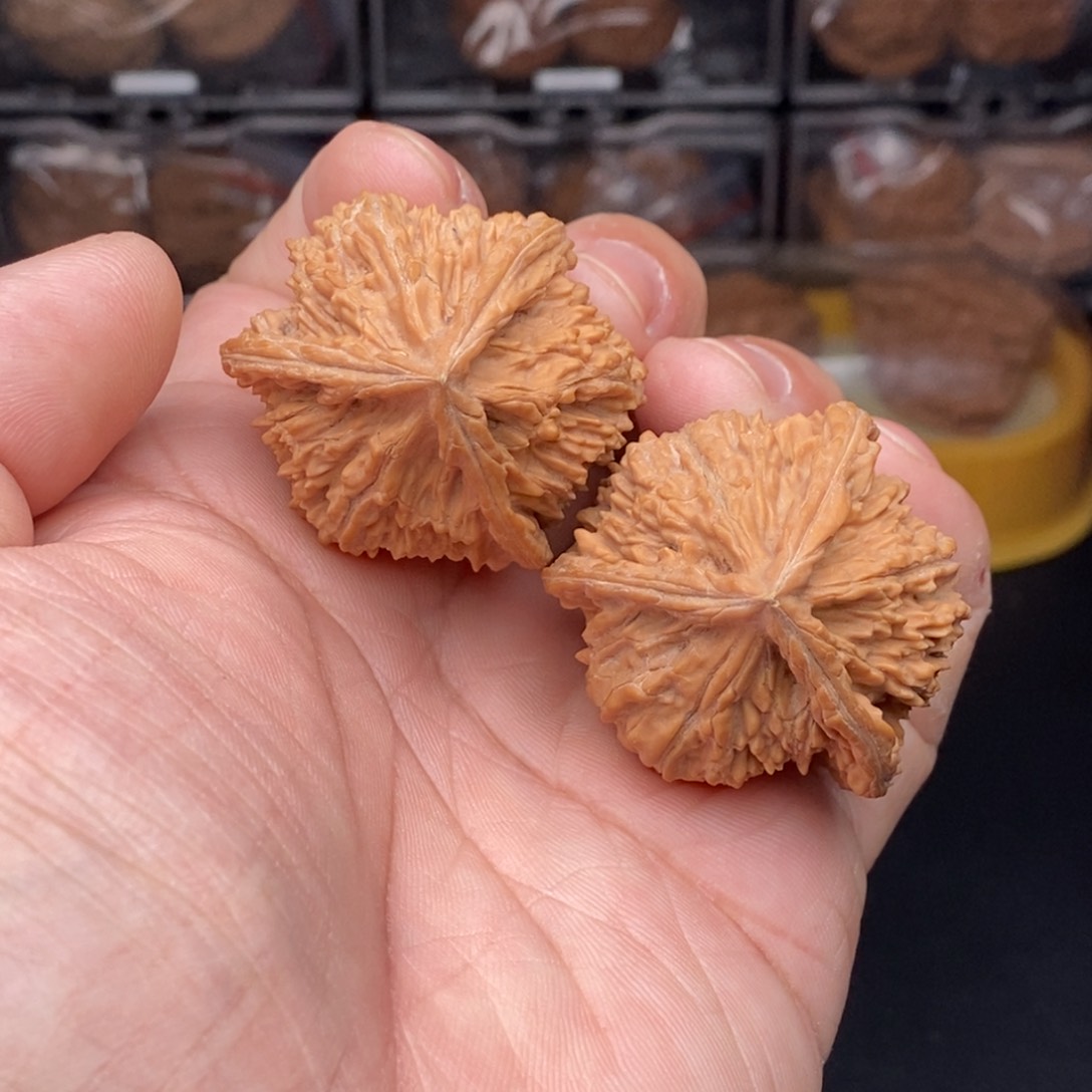 核桃手串/手链 流星雨三棱