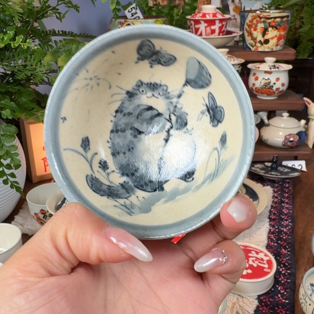 杯杯杯杯杯杯杯636