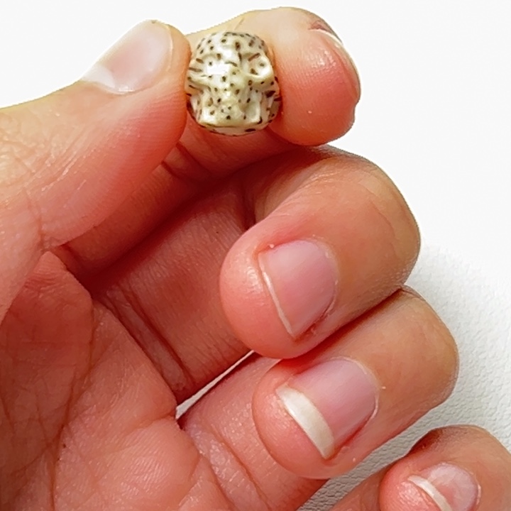 吊坠星月菩提手工雕刻骷髅头造型