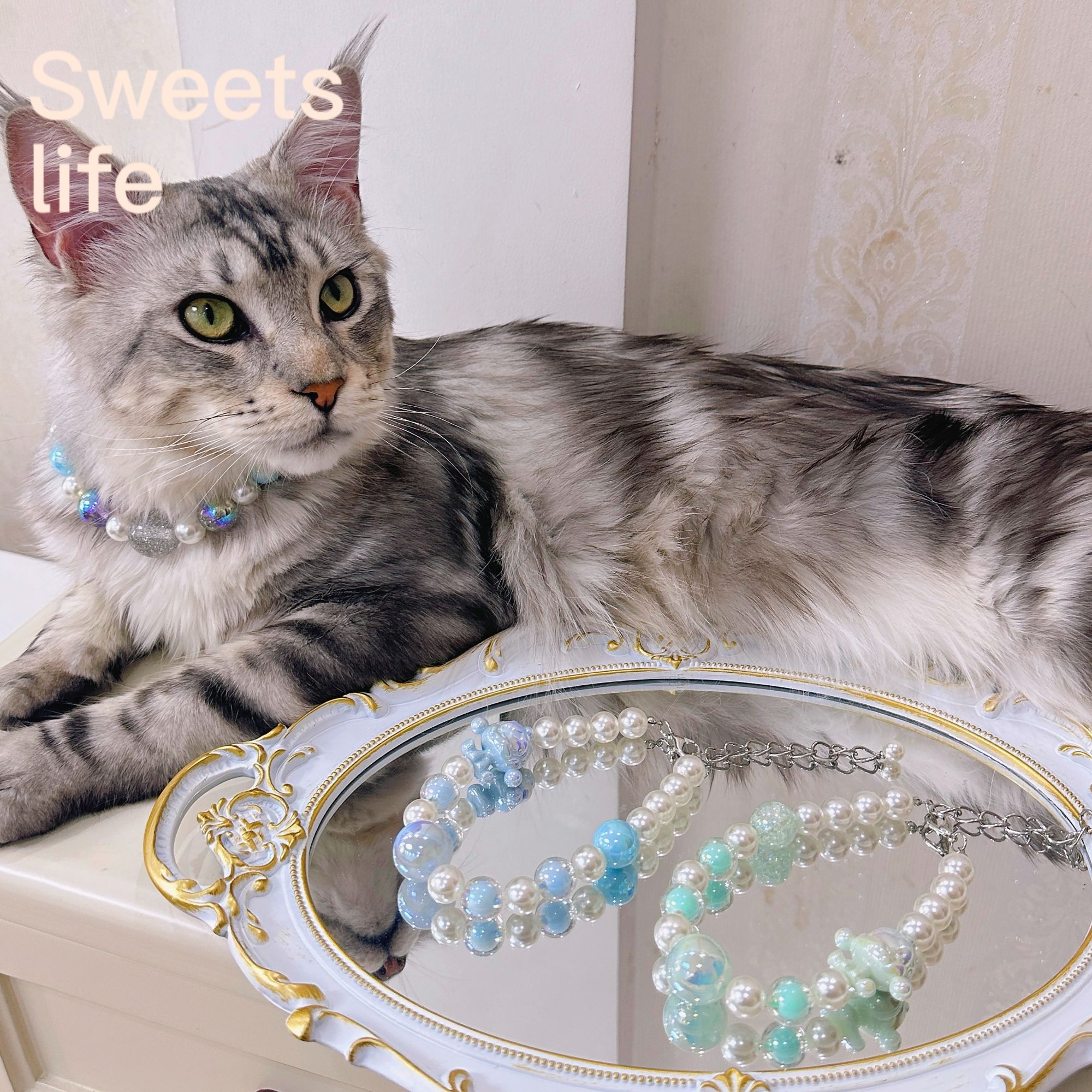 Sweets life珍珠可爱炫彩娃彩虹猫咪狗狗项链宠物串珠围脖饰项圈