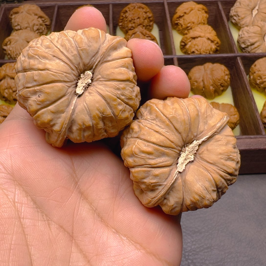 把件文玩核桃45➕尺寸南瓜墩