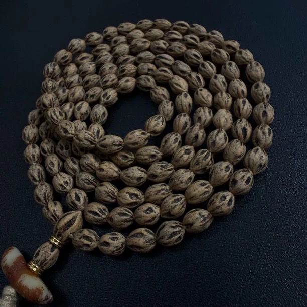 热振一哥《尸坨林.万冥》定制级百香籽