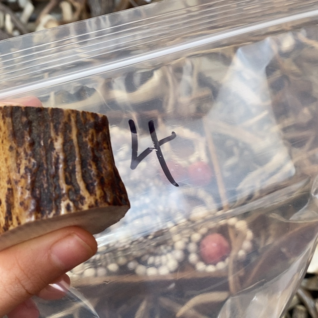 一***西非金属鹿角鹿角鹿角