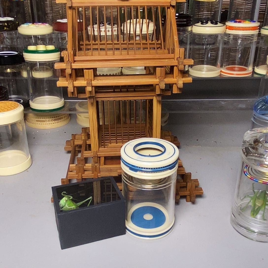 单格蝈蝈笼加一帆风顺老谭蝈蝈罐加绿蝈蝈