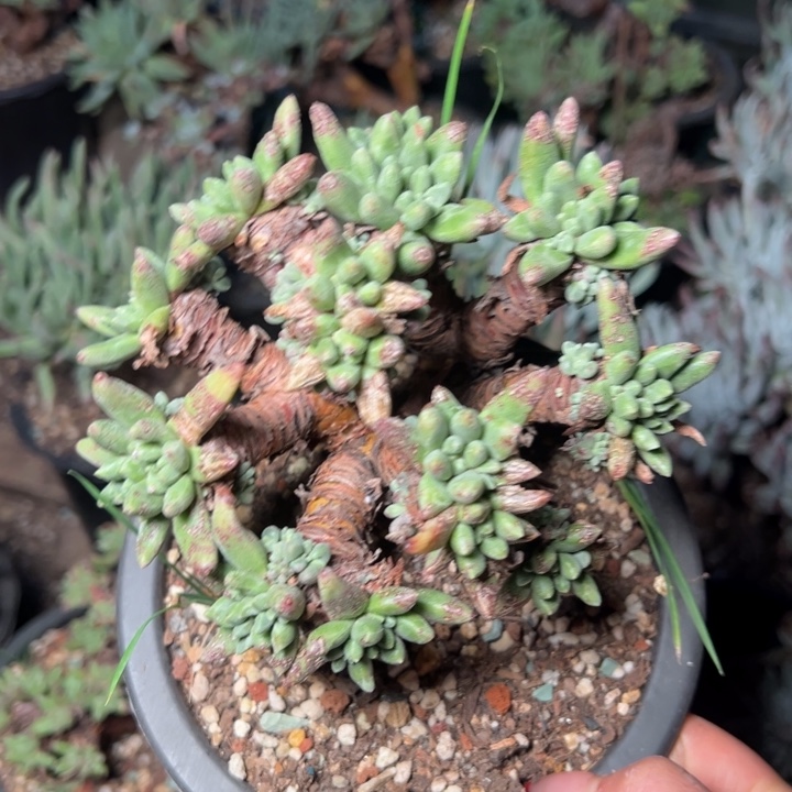 1270哈哈哈哈哈哈哈哈哈哈