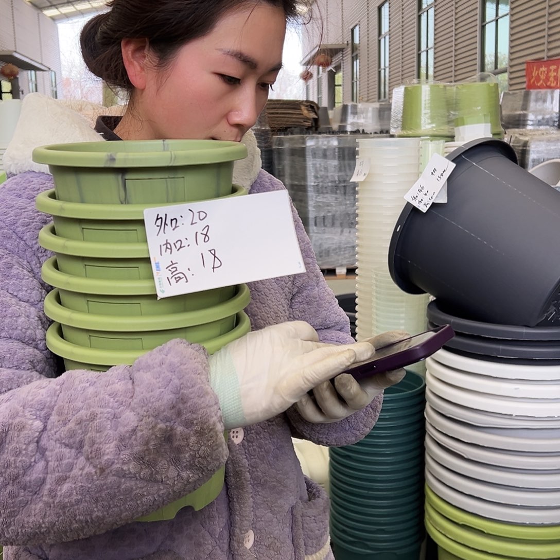 瑕疵玫瑰盆200#果绿6个无托