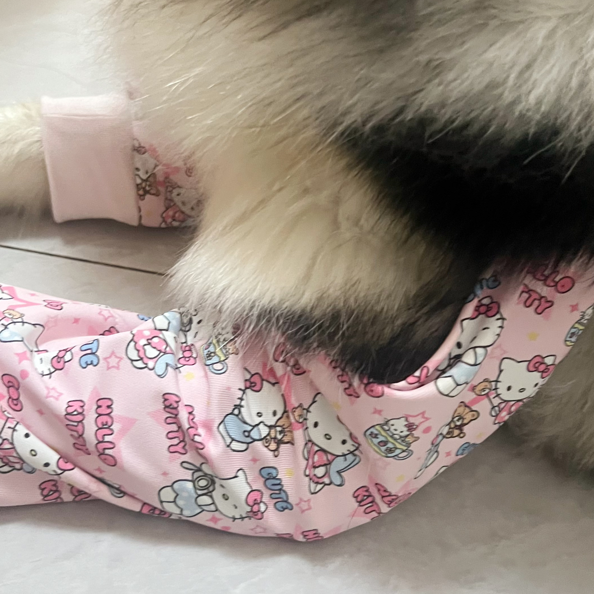 直播自选 狗狗护肘关节保护套防脏神器四季通用外出护膝No退No换