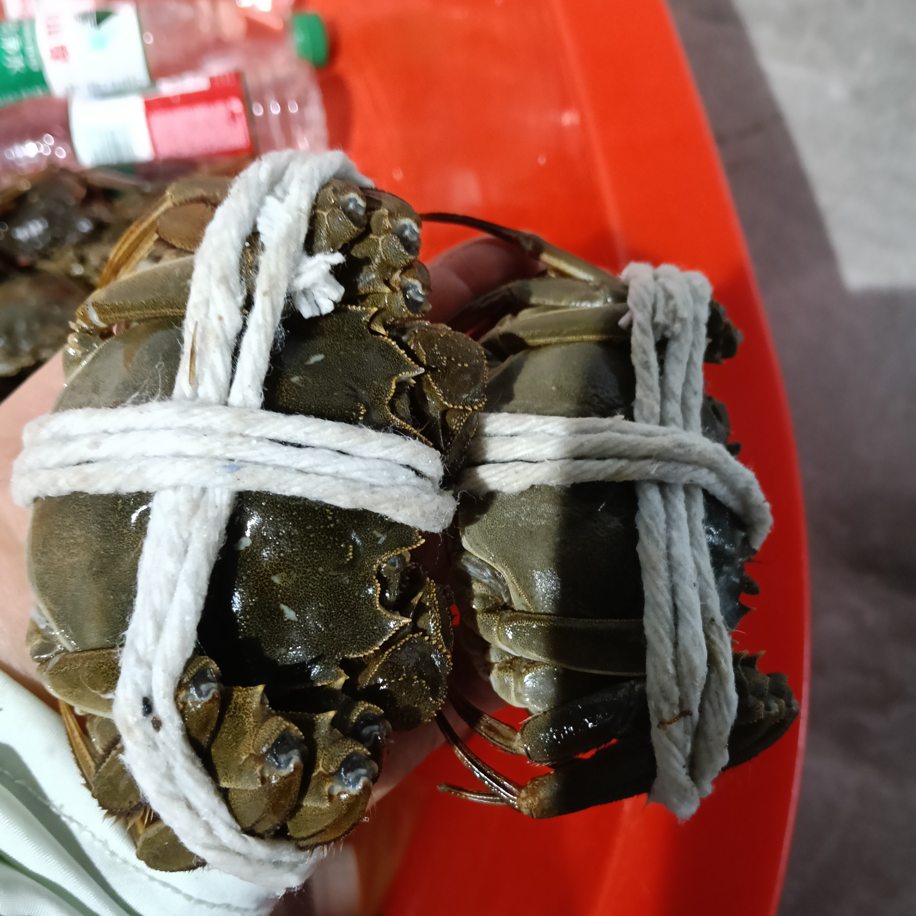 兴义周记水产鲜活大闸蟹85买5只（2.5母蟹）同城配送