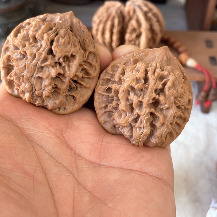 核桃其他秦岭核桃种植