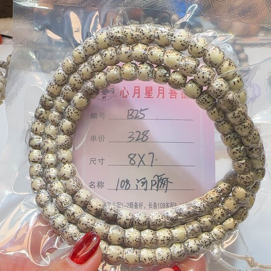 心月星月星菩提一号B25