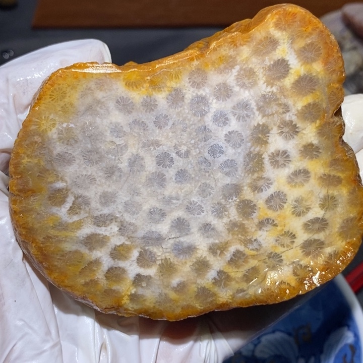 【闪购商品】未镶嵌珊瑚玉硅化玉