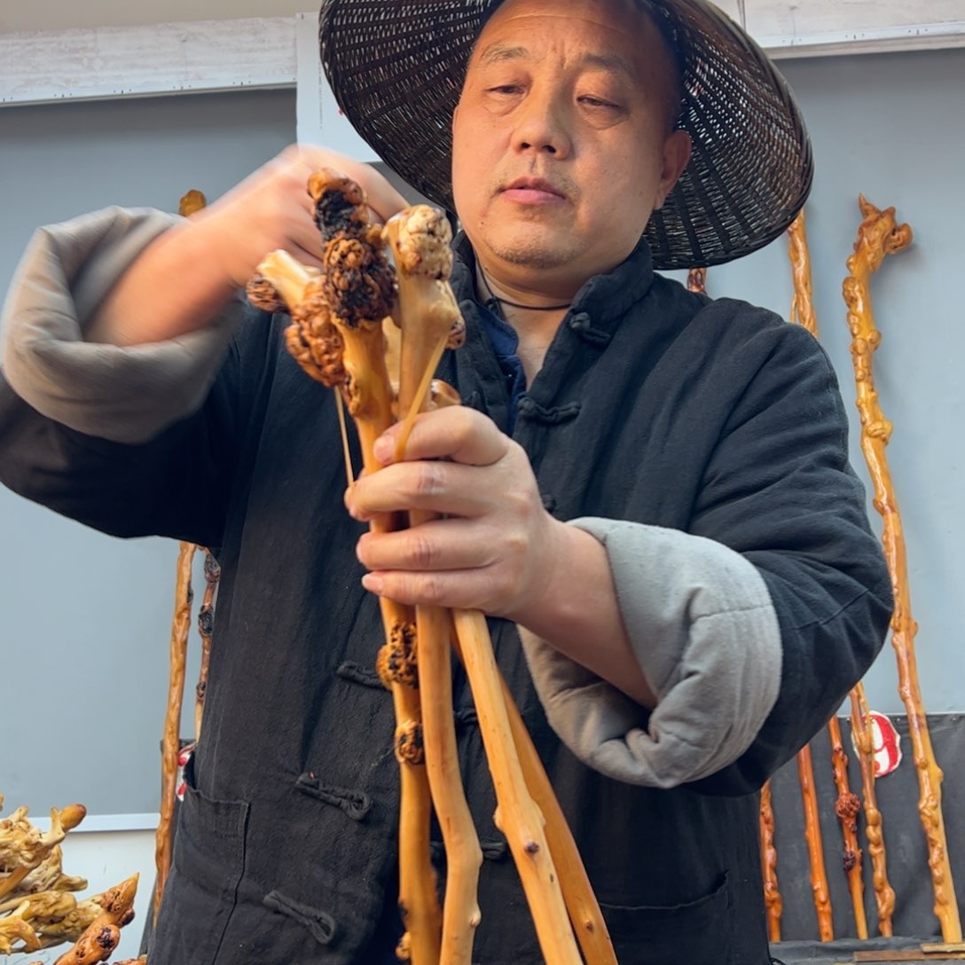 黑果木其他黑果木711