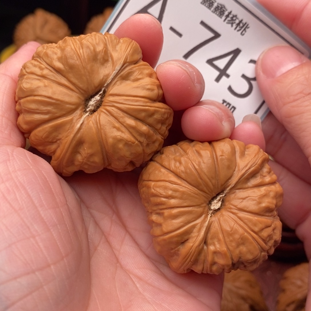 文玩核桃把件南瓜42