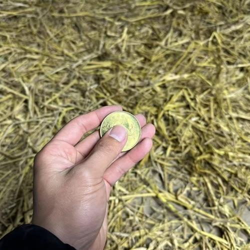 12-精选家居摆件-现代仿古摆件-SG