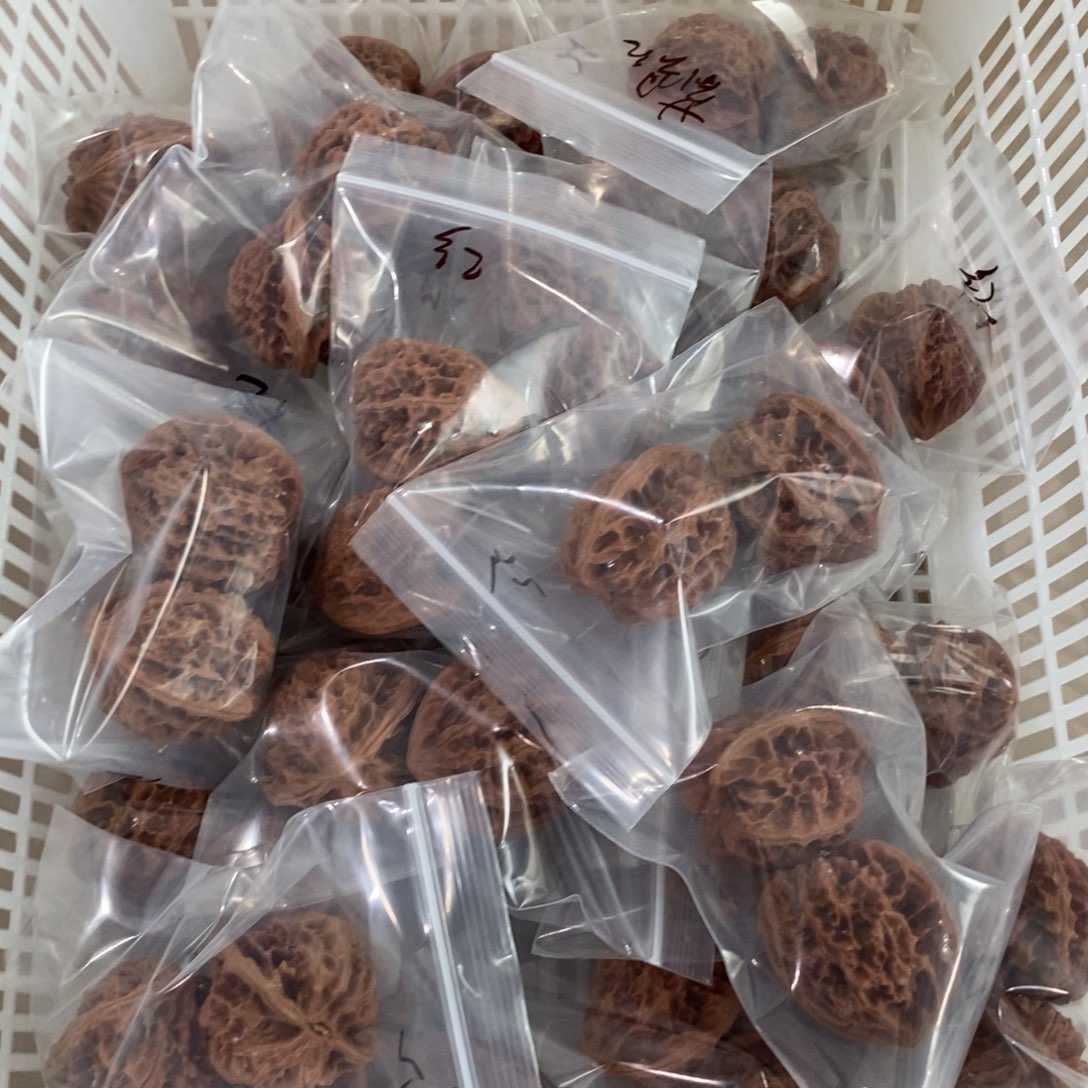 文玩核桃吊坠蓟县红有瑕疵